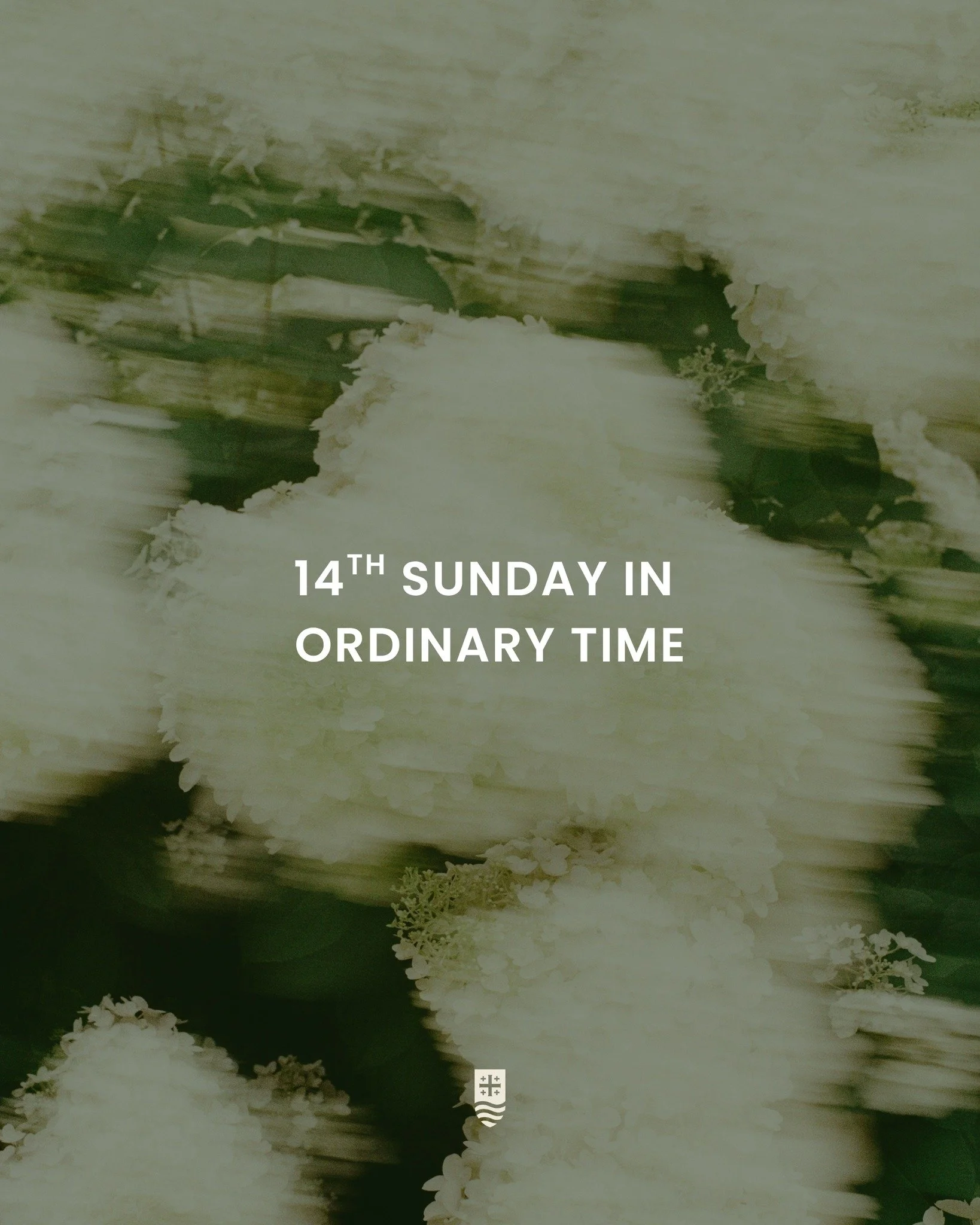 Sundays are the perfect opportunity to dive into God&rsquo;s Word! Use this Sabbath Guide to prepare your heart for Mass, reflect on the message on your way home, and revisit it in prayer throughout the week.

We are a three part homily series this w