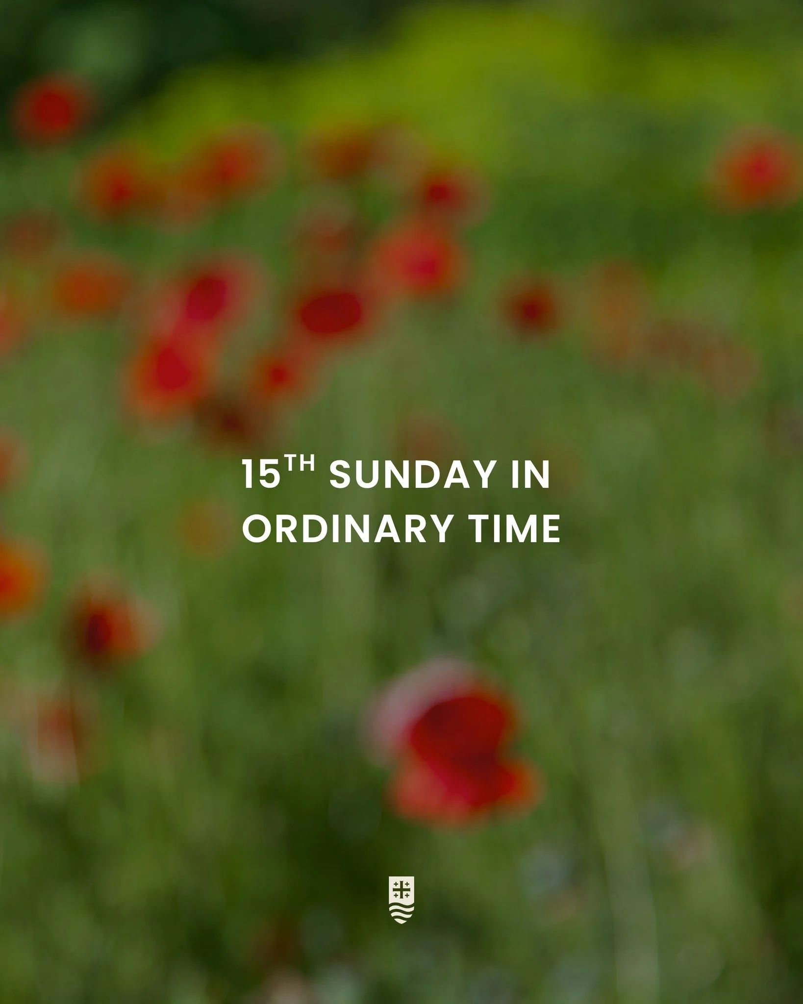 Sundays are the perfect opportunity to dive into God&rsquo;s Word! Use this Sabbath Guide to prepare your heart for Mass, reflect on the message on your way home, and revisit it in prayer throughout the week.

We are a three part homily series this w