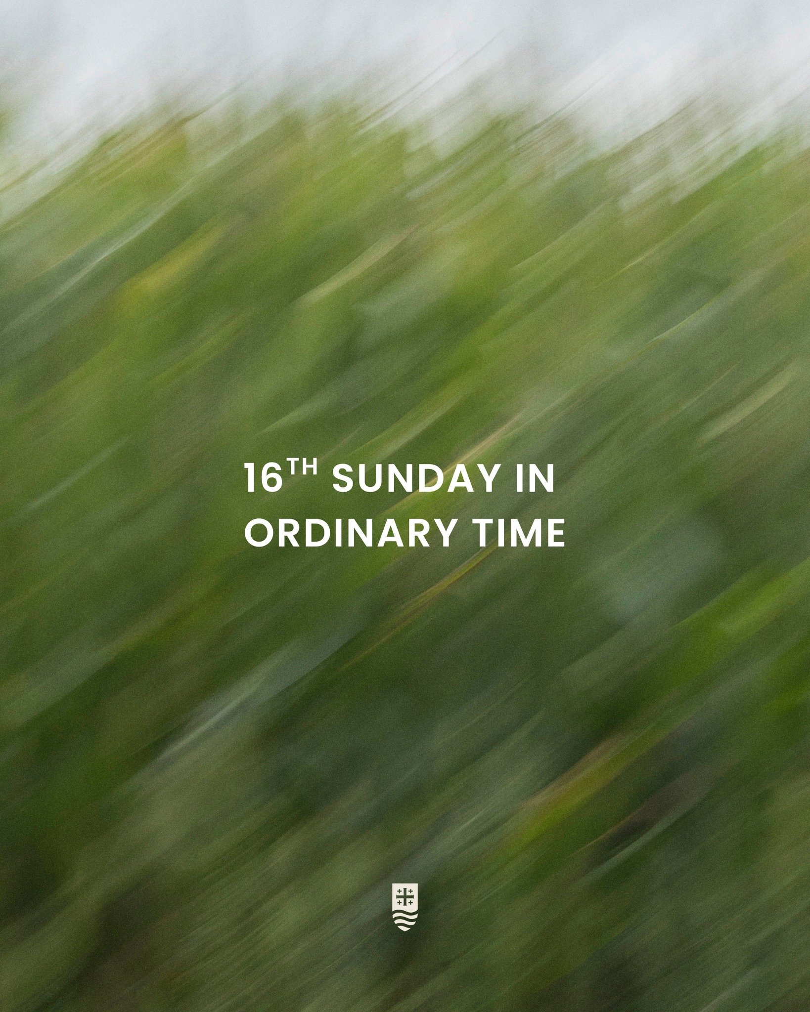 Sundays are the perfect opportunity to dive into God&rsquo;s Word! Use this Sabbath Guide to prepare your heart for Mass, reflect on the message on your way home, and revisit it in prayer throughout the week.

We are a three part homily series this w