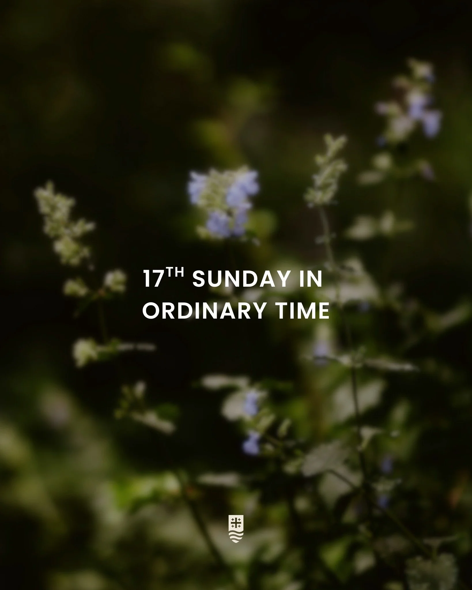 Sundays are the perfect opportunity to dive into God&rsquo;s Word! Use this Sabbath Guide to prepare your heart for Mass, reflect on the message on your way home, and revisit it in prayer throughout the week.

We are a three part homily series this w