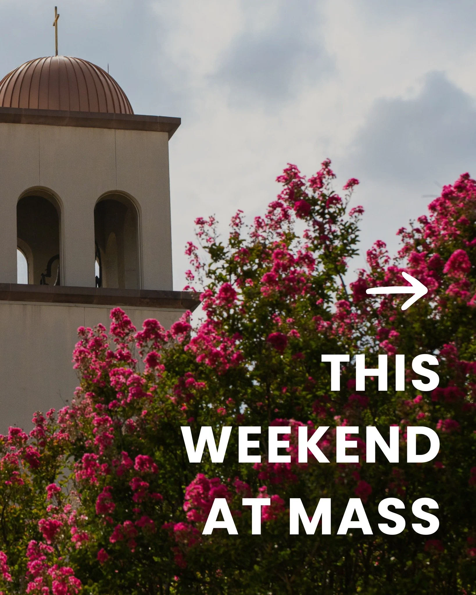 THIS WEEKEND // So much happening this weekend at all the Masses! Come to Mass and stay awhile! ⛪ 

Worship with us this weekend! 🙏
⏰ Saturday: 5 PM
⏰Sunday: 8 AM | 10 AM | 12 PM | 4:30 PM
Spanish: 2 PM | 7 PM