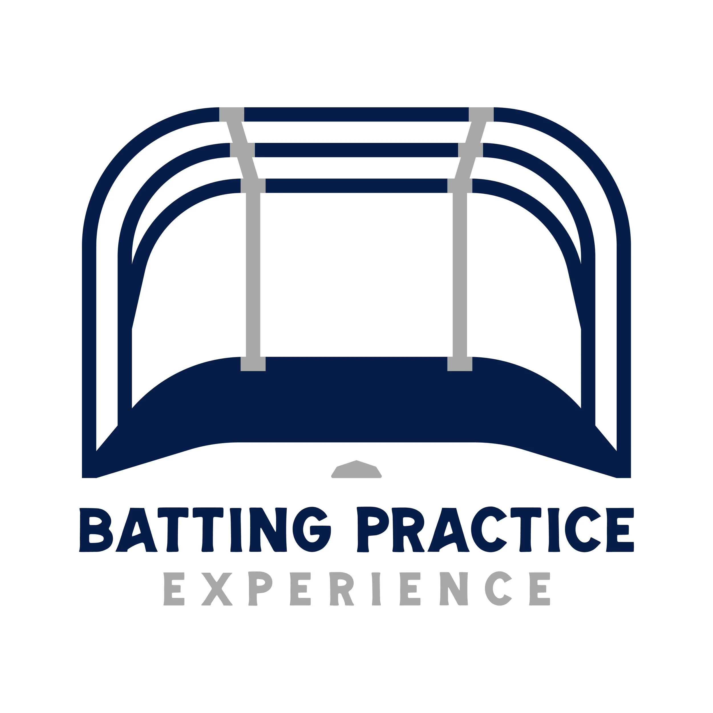Batting Practice Experience 