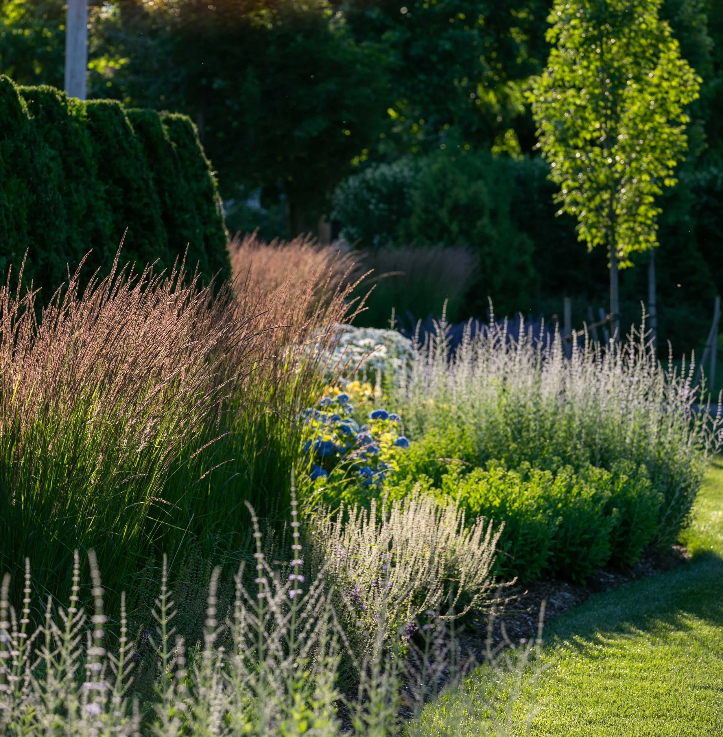 Main Street (34).jpg