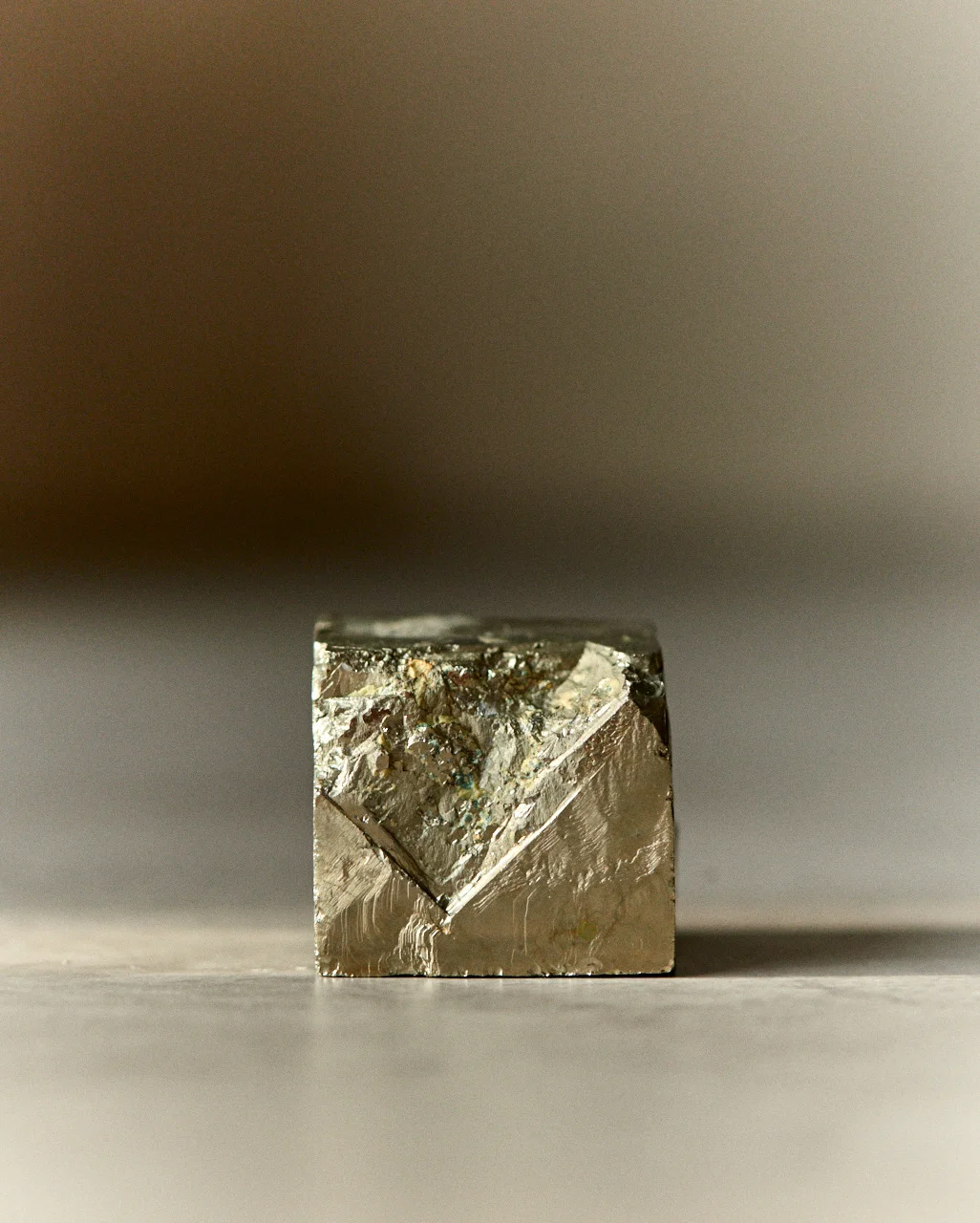 DSC_9835.jpg