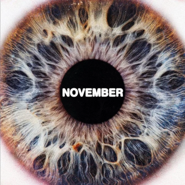 november-sir.jpg