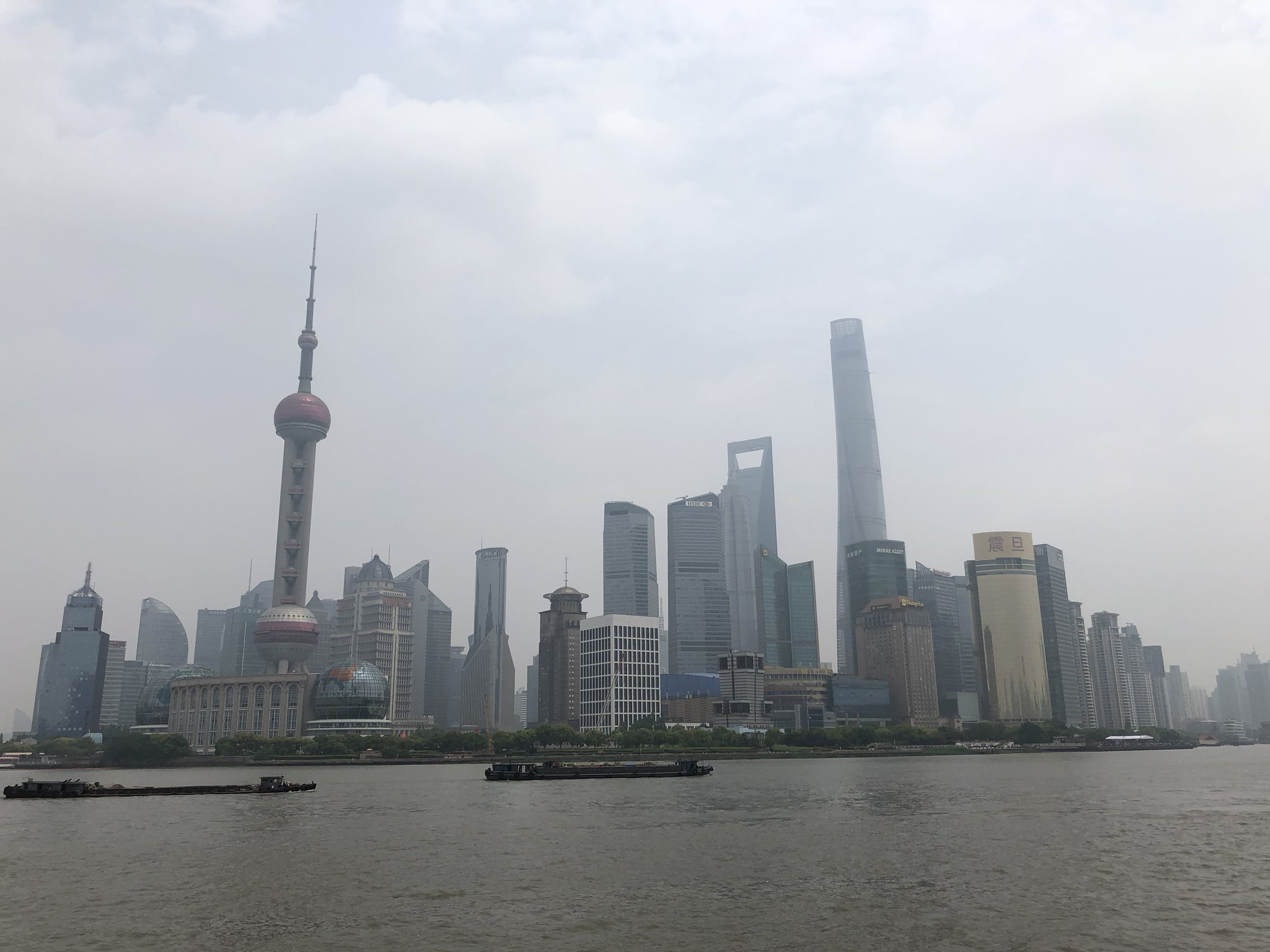 IMG_9239.jpeg