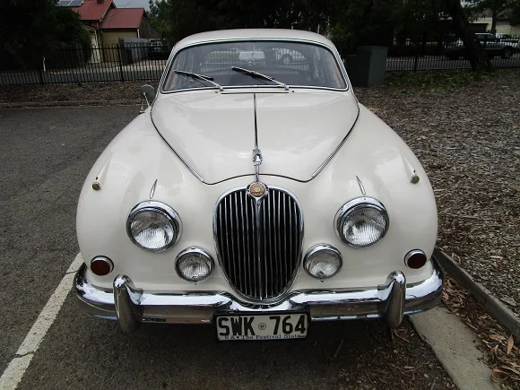 jag64wf.jpg.JPG
