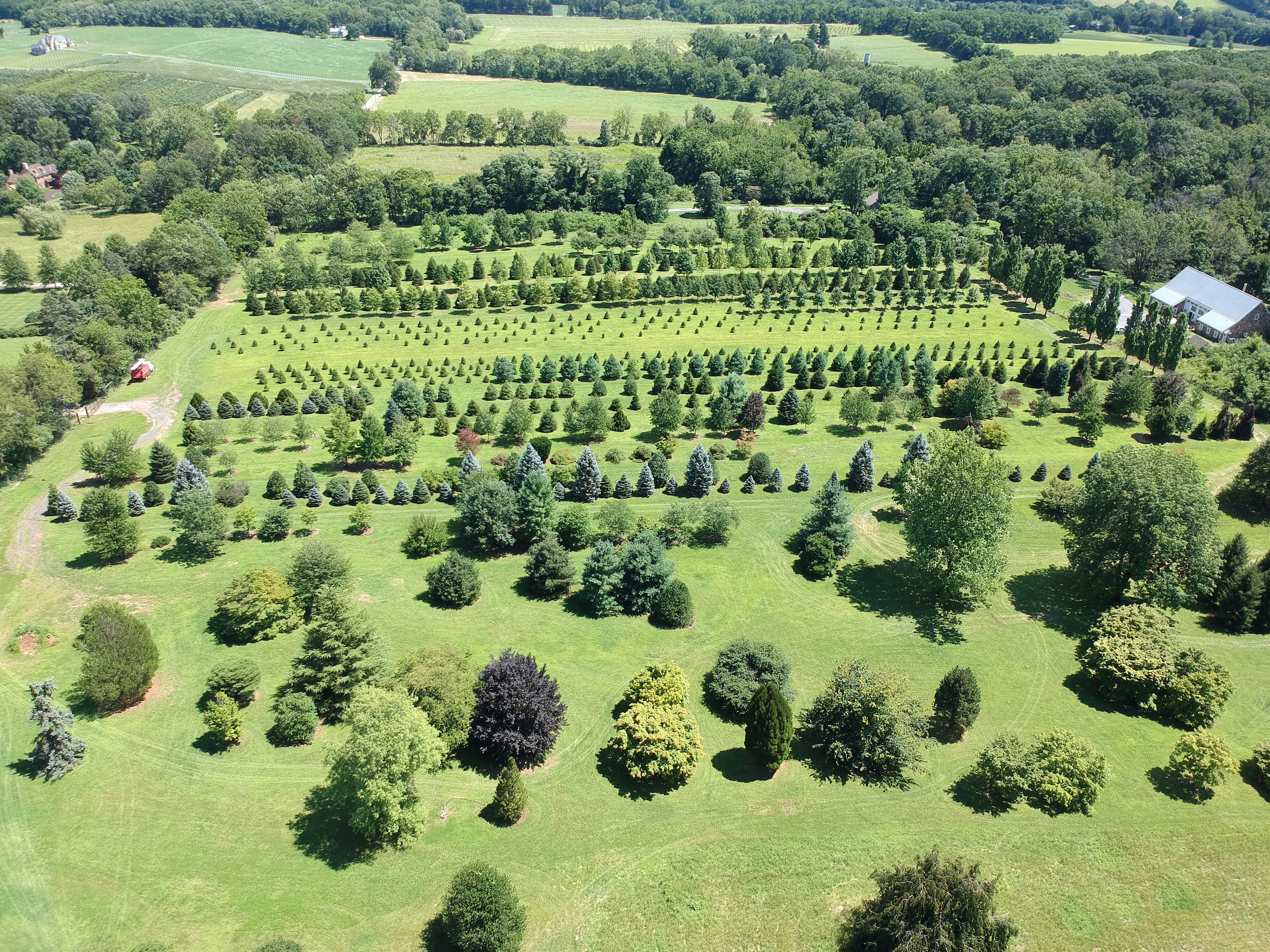 AmTree Nursery Drone.jpg