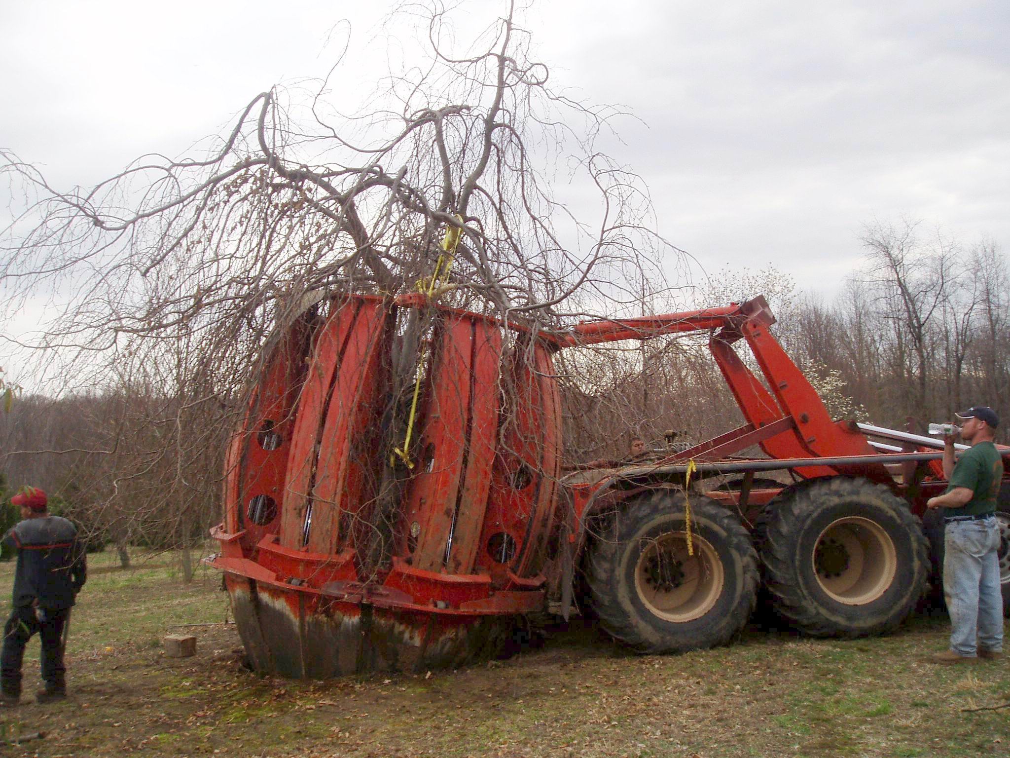 beech-move-equipment.JPG