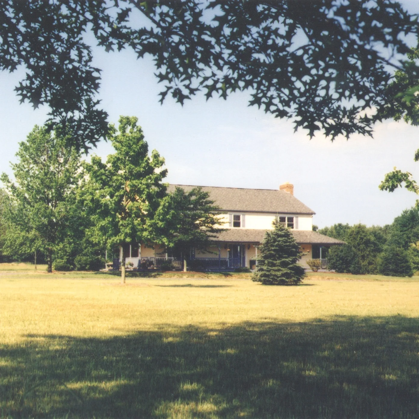 amtree-house-1-after-b.jpg