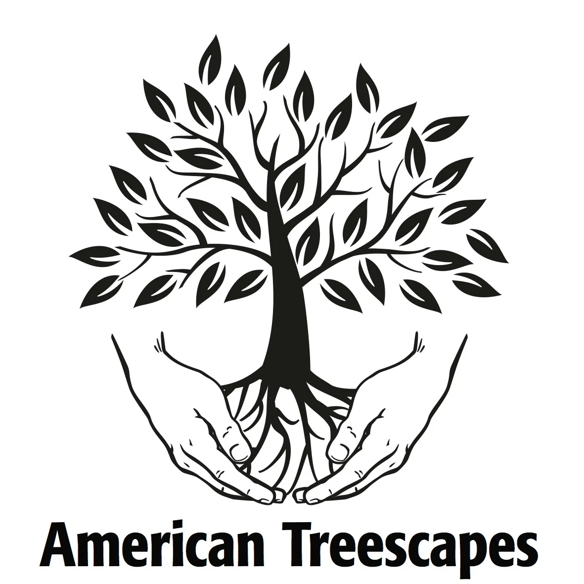 ATS+-+Logo+Crop.jpg