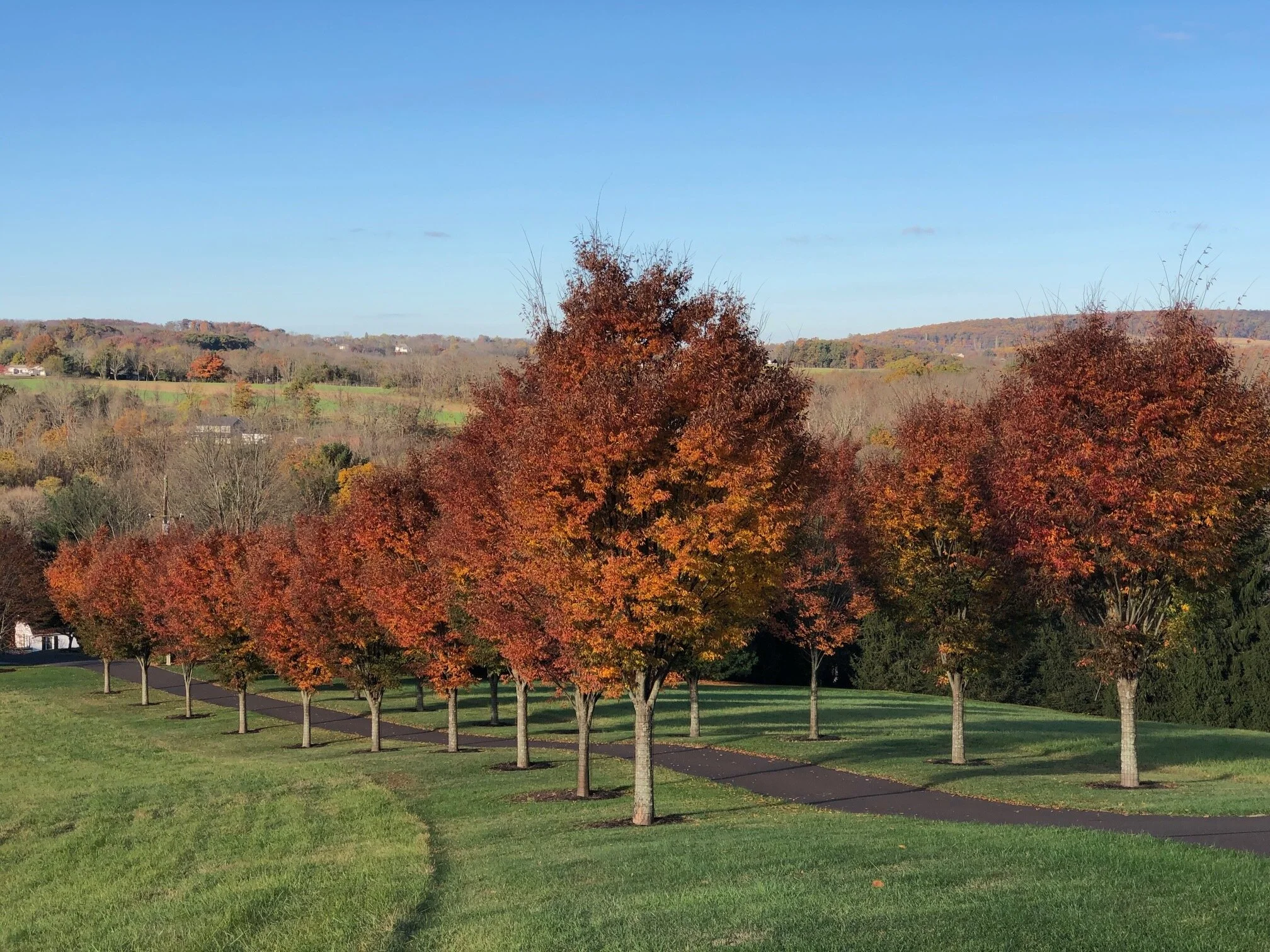 fall-colors.jpeg