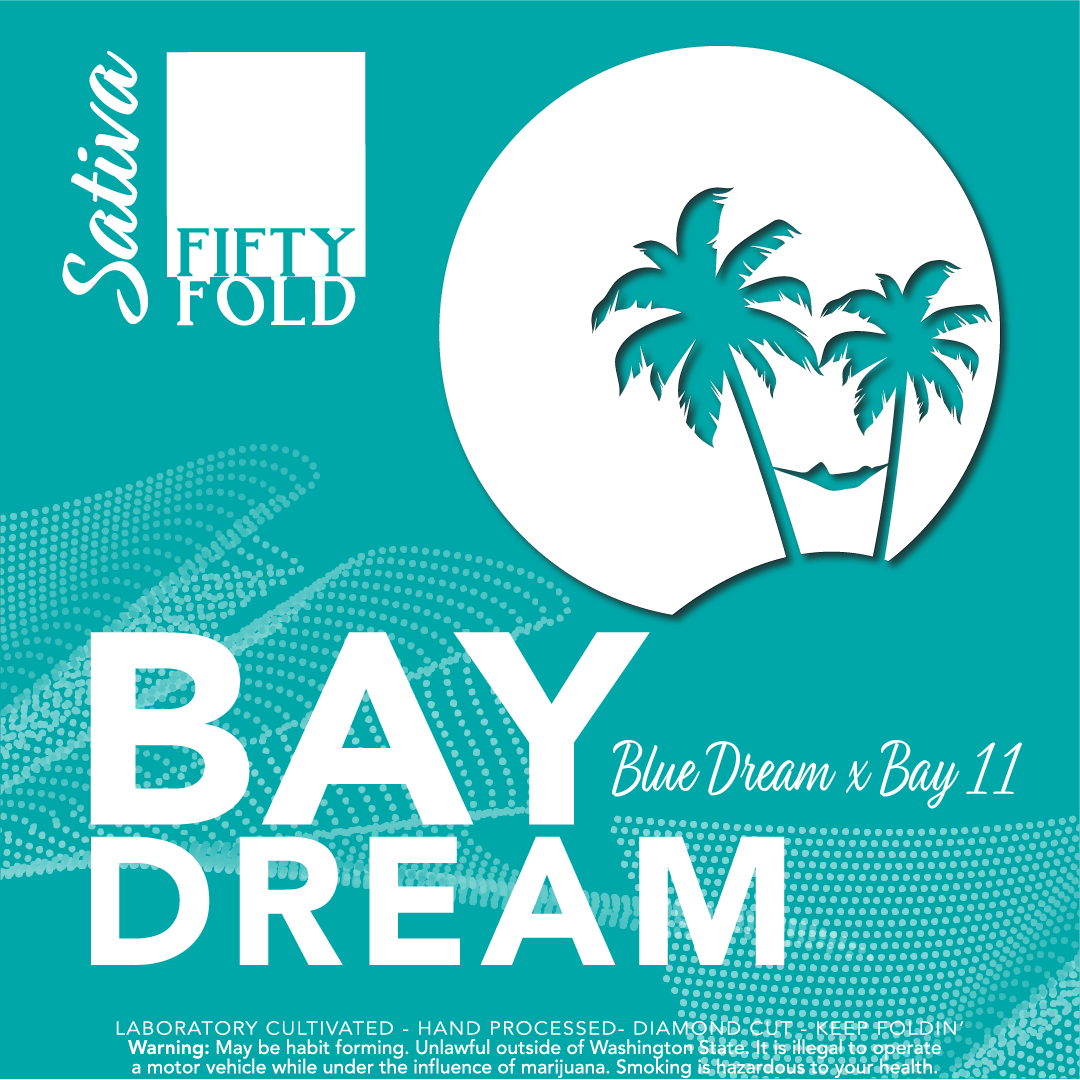 FIFTY FOLD_BAY DREAM.png