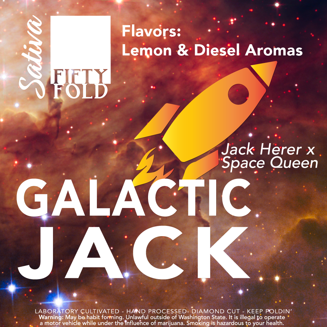 FIFTY FOLD_GALACTIC JACK.png