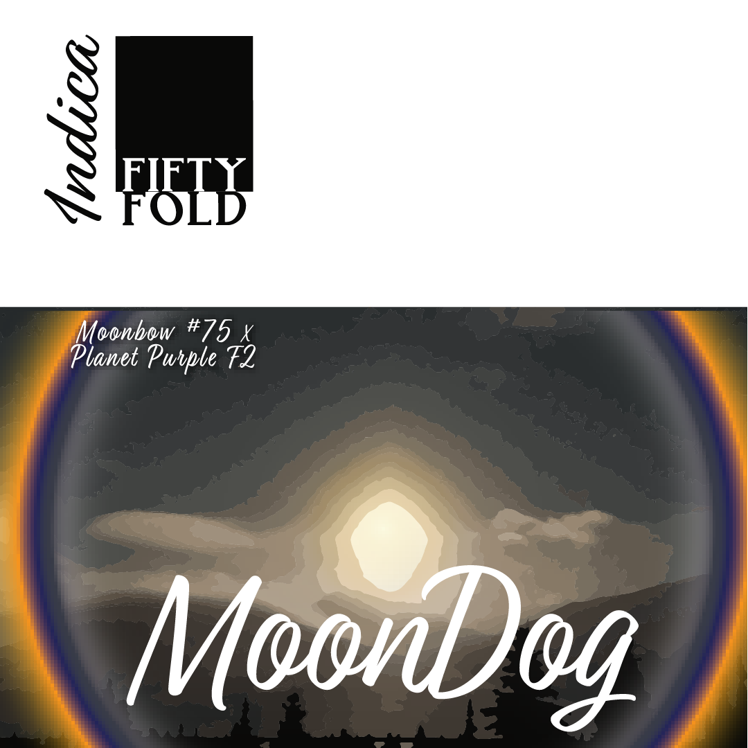 FIFTY FOLD_MOON DOG.png