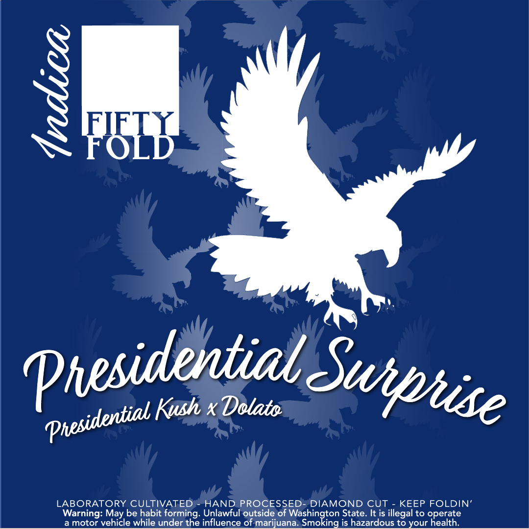 FIFTY FOLD_PRESIDENTIAL SURPRISE.png