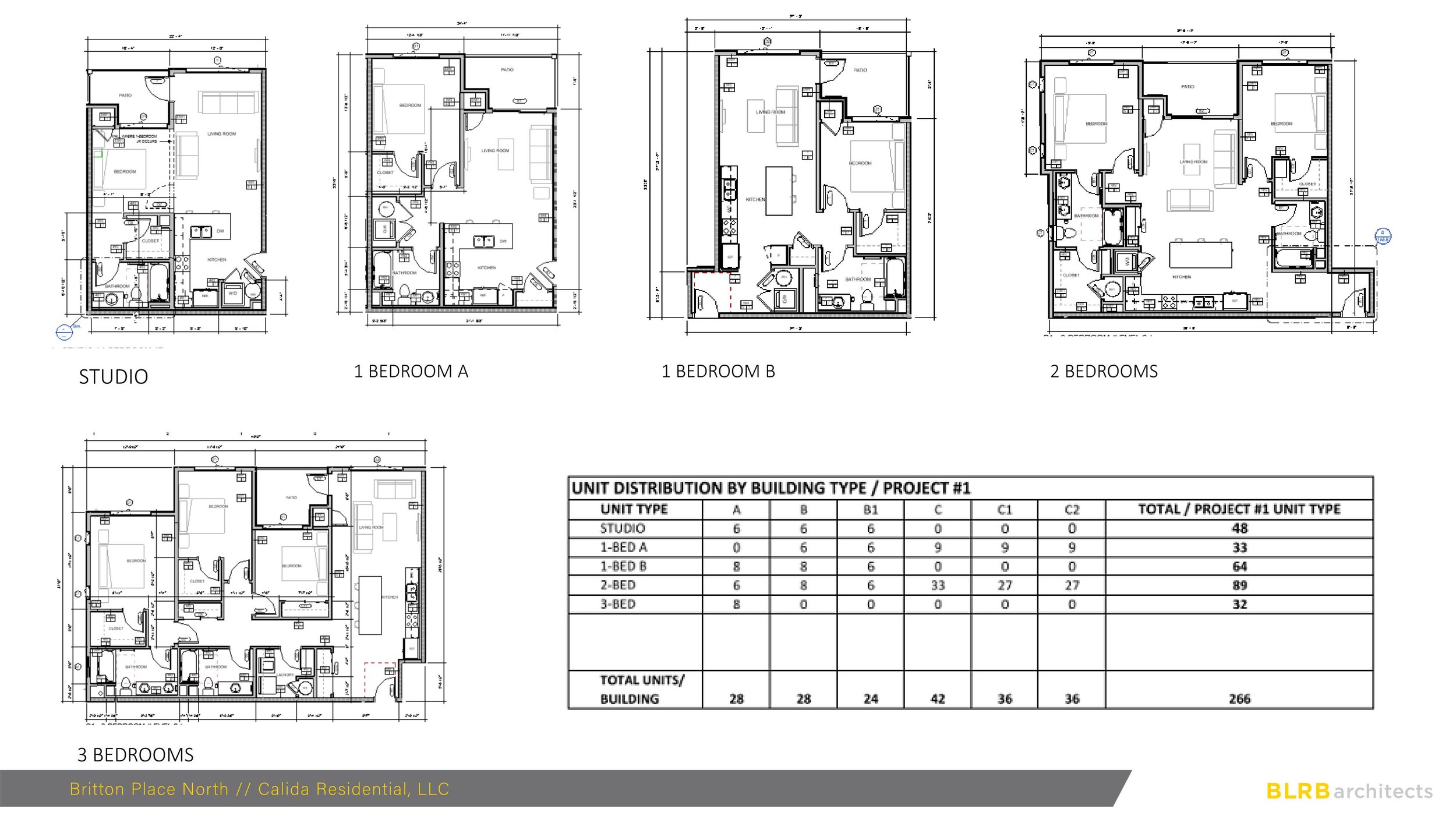 Pages from BRITTON NORTH - LACEY_DD PRESENTATION - 2022 0711 5.jpg