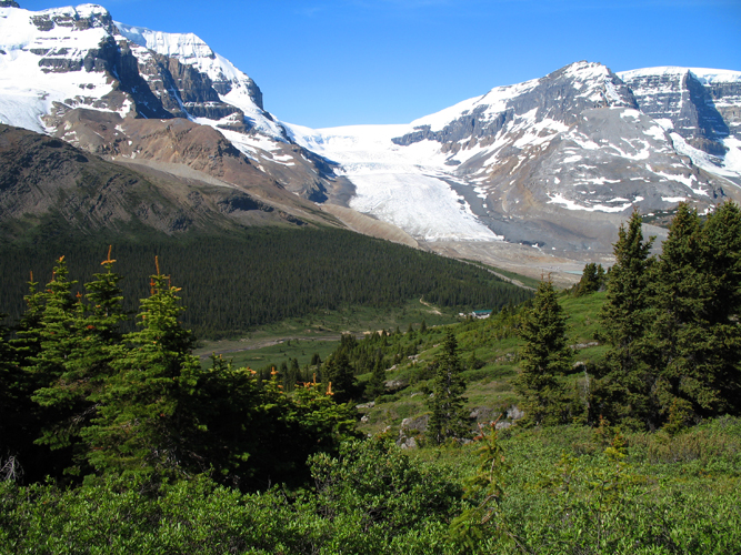 Athabasca Glacier