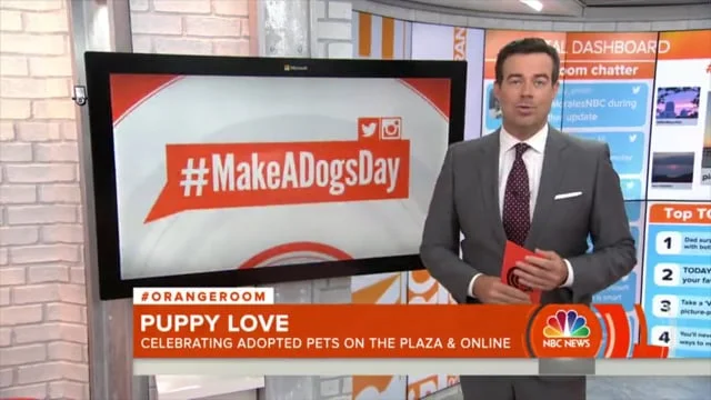 Subaru-Make a Dog's Day-Case Study