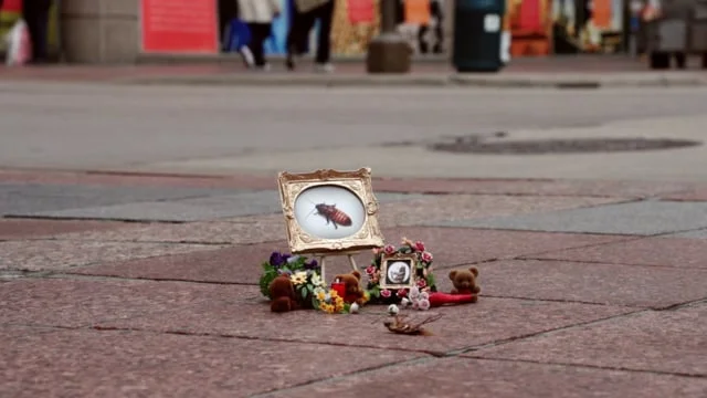 Carmichael Collective - Bug Memorial