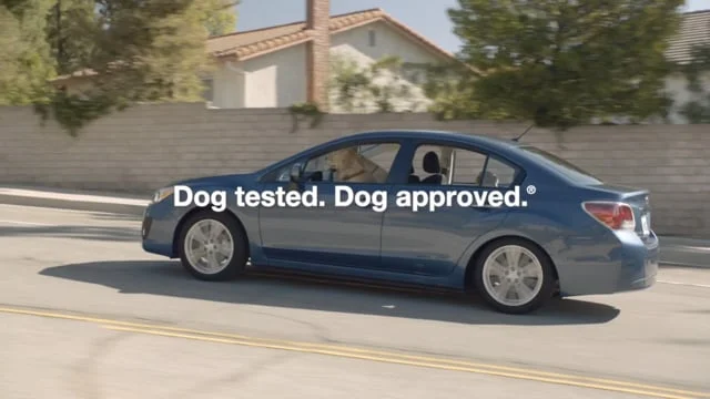 Subaru-What's the Fuss?