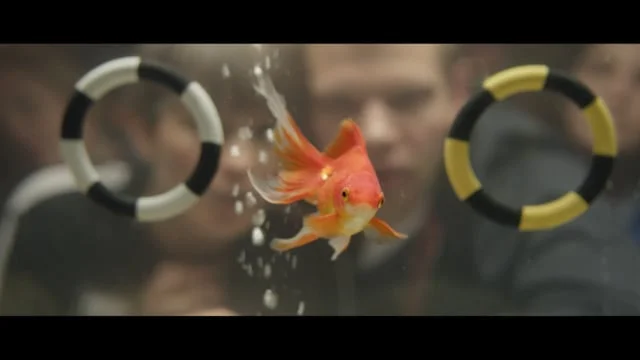 Xfinity - 'Ode to the Fans'  -60