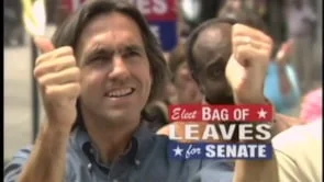 Ad Council-Bag of Leaves