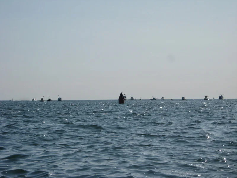 img_1510_3813460894_o.jpg