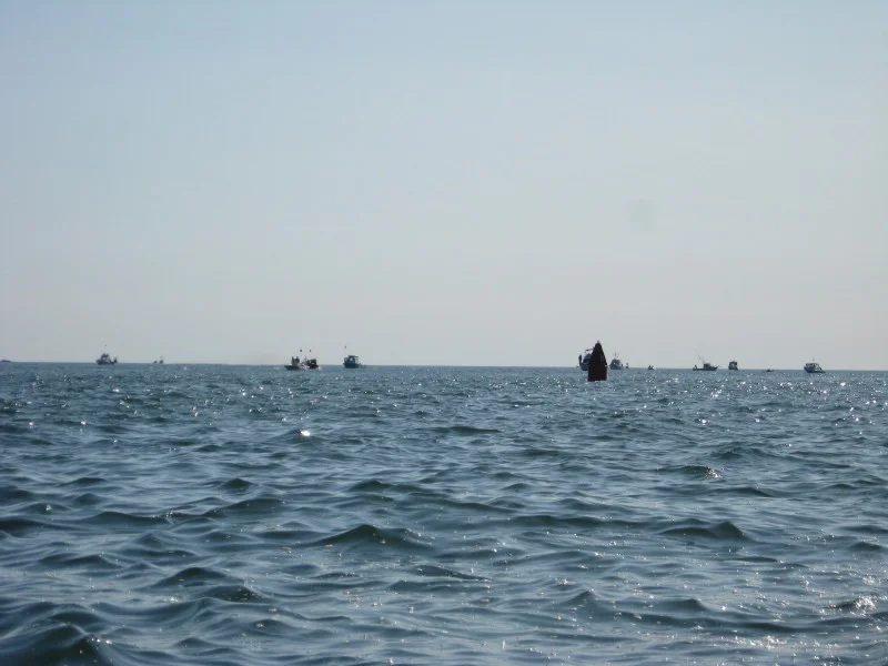 img_1511_3812646807_o.jpg