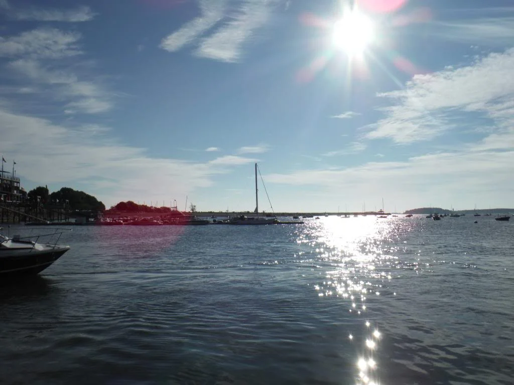 DSCF4049_zps46011083.jpg