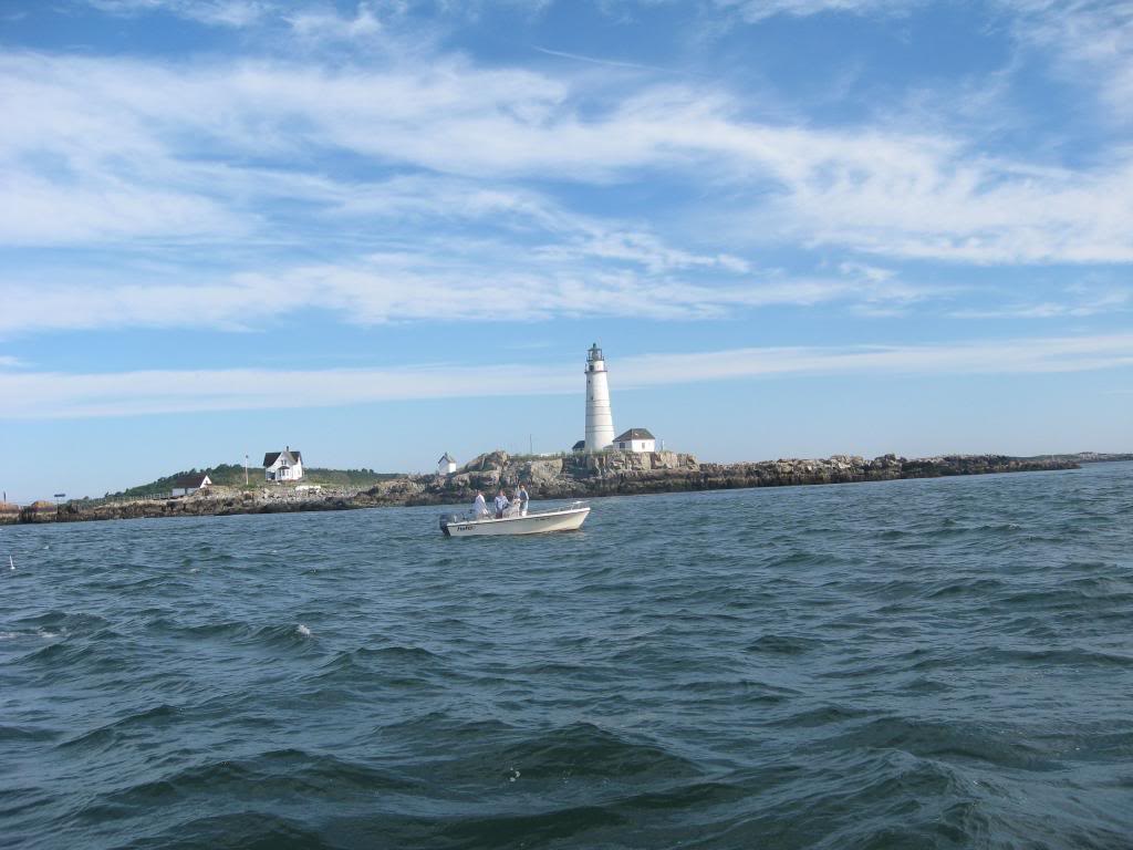 IMG_1432_zps7f5473bf.jpg