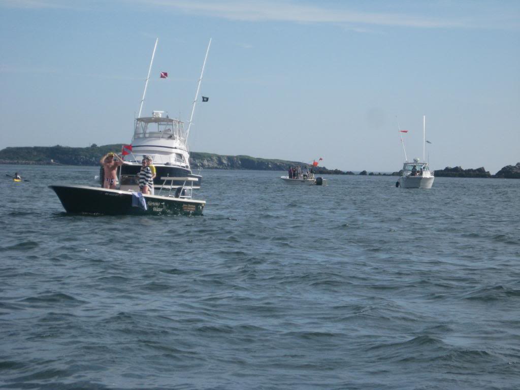 IMG_1441_zps4d859f53.jpg