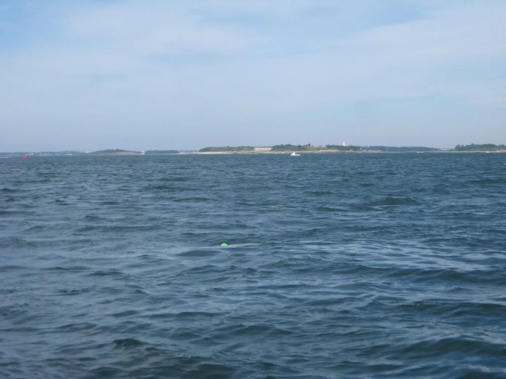 IMG_1459_zps053073e0.jpg