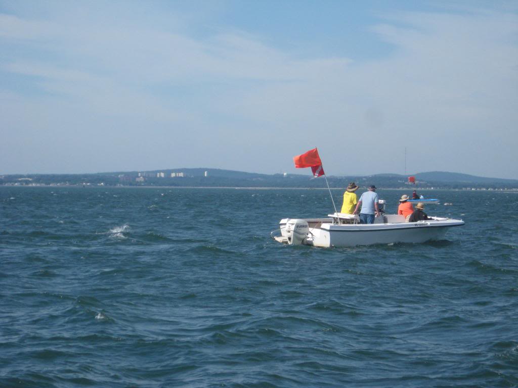 IMG_1467_zps1c1c9f73.jpg