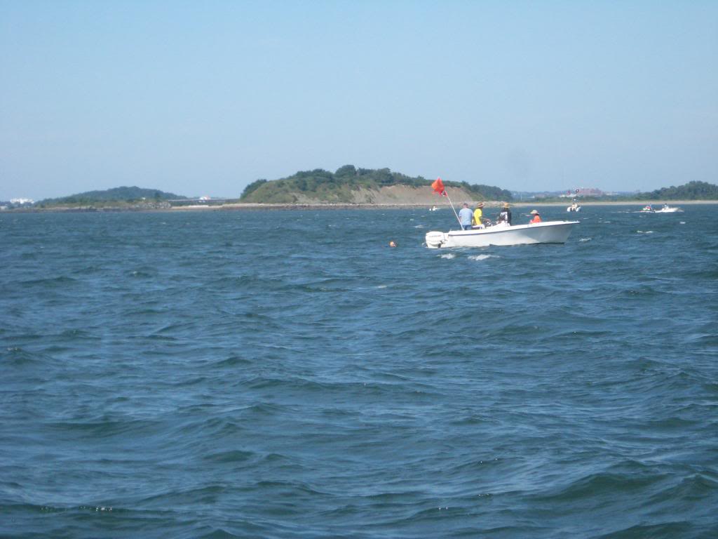 IMG_1466_zps2fcd6a44.jpg