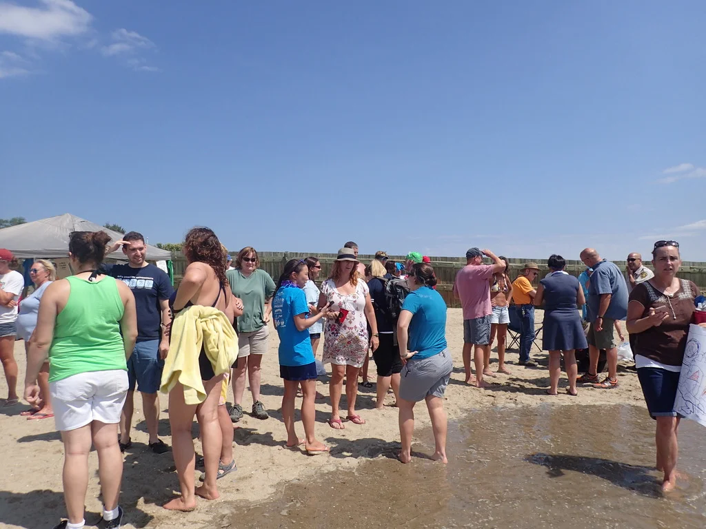 P1010525_zpsvxlefsum.jpg