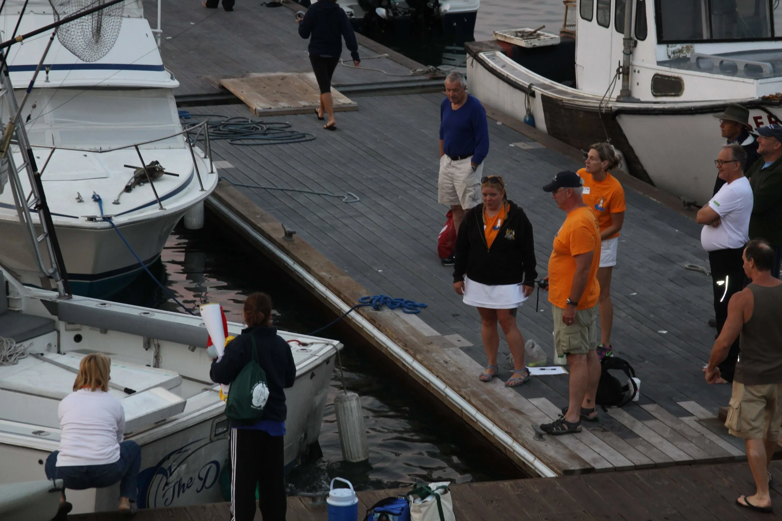 IMG_2361.jpg