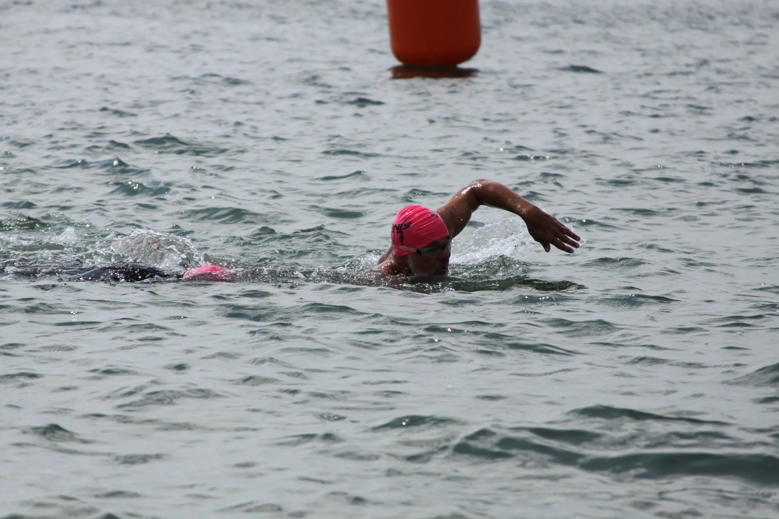 IMG_2866.jpg