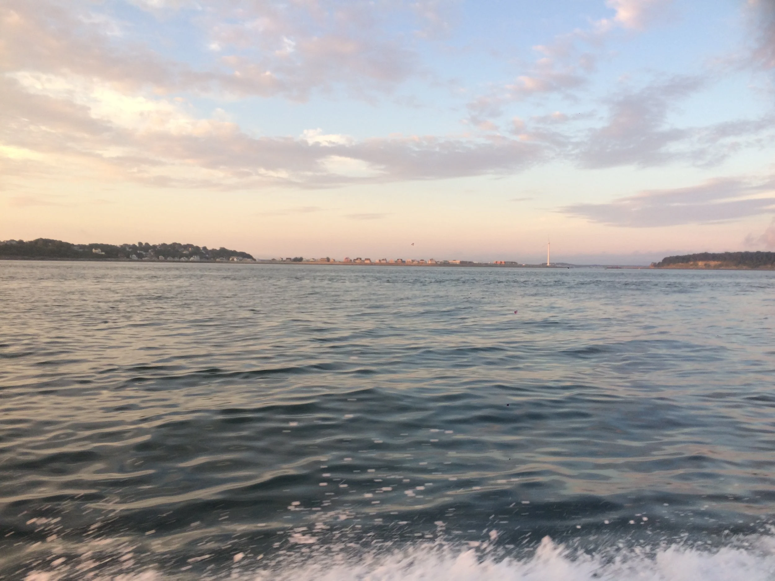 2017-08-05 05.56.28.jpg