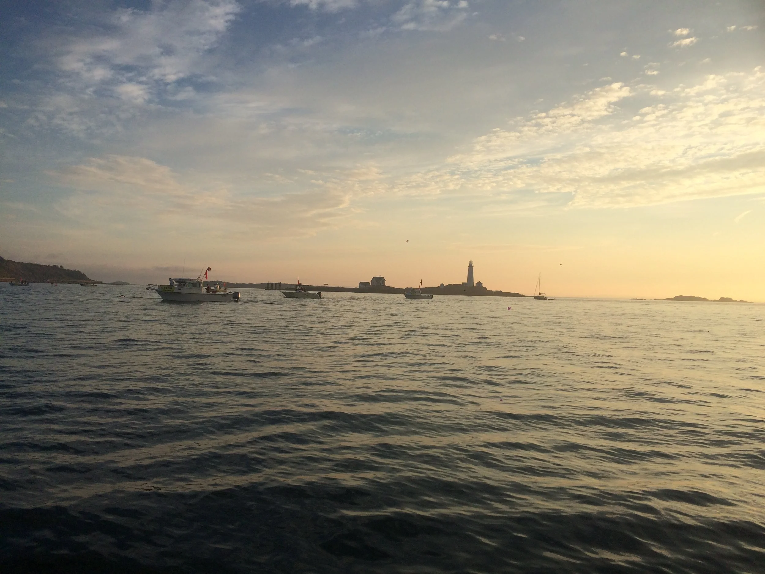 2017-08-05 06.12.14.jpg