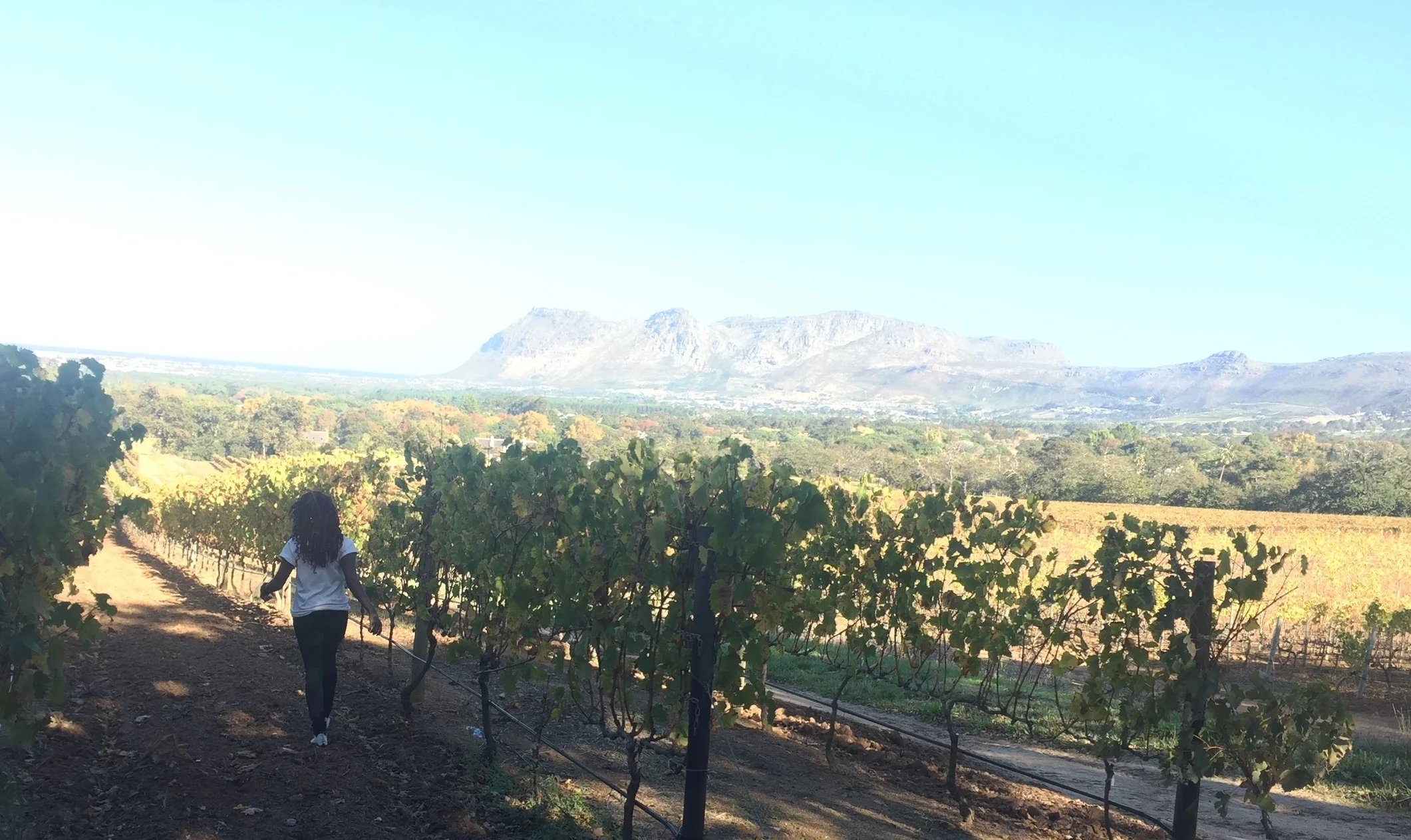 What I learned in Cape Town