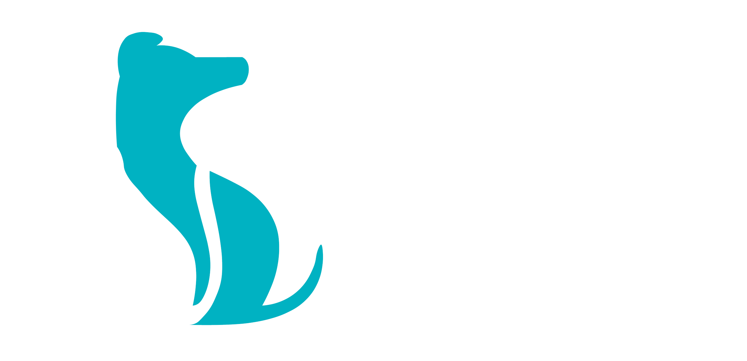 Sota Saves Logo