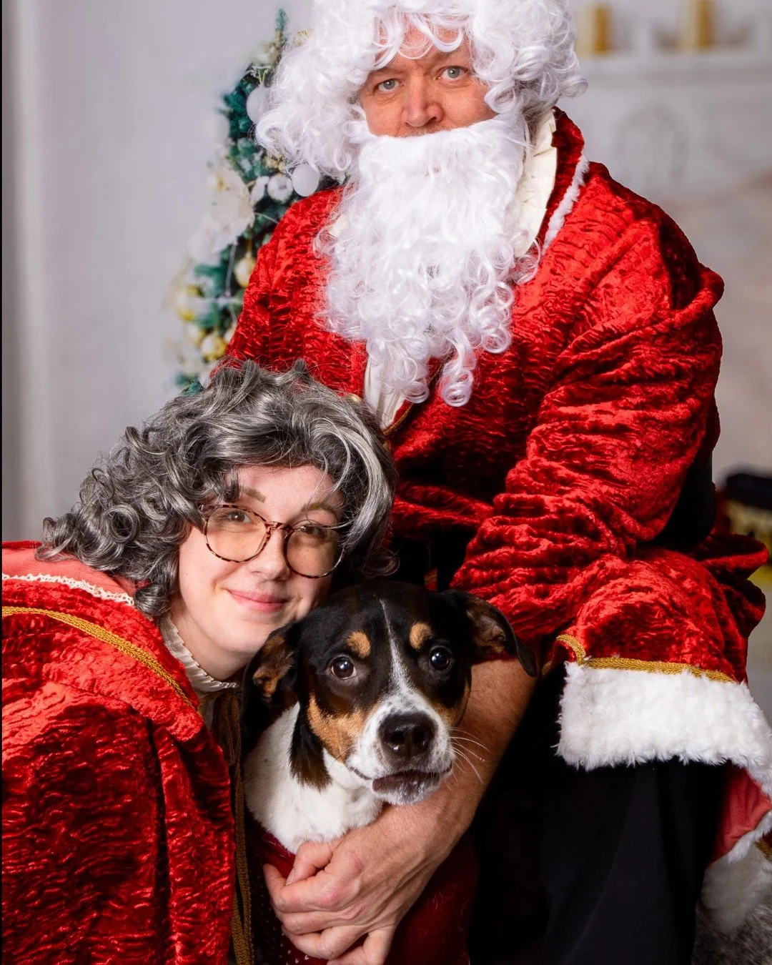 🎅✨ Photos with Santa &mdash; Capture the Magic! ✨🐾
Saturday, December 6 &bull; 11 AM&ndash;2 PM
Carver Scott Humane Society, Chaska

It&rsquo;s time for the cutest holiday tradition! Bring your pet for a festive photo with Santa and take home a kee
