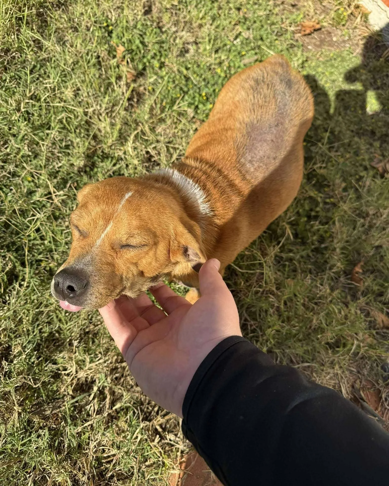 This Giving Tuesday, we&rsquo;re giving thanks. 💙

To our staff, board, volunteers, and supporters: thank you. Your generosity helped raise over $52,000 during Give to the Max Day, strengthening our shared mission and giving us the power to say yes 