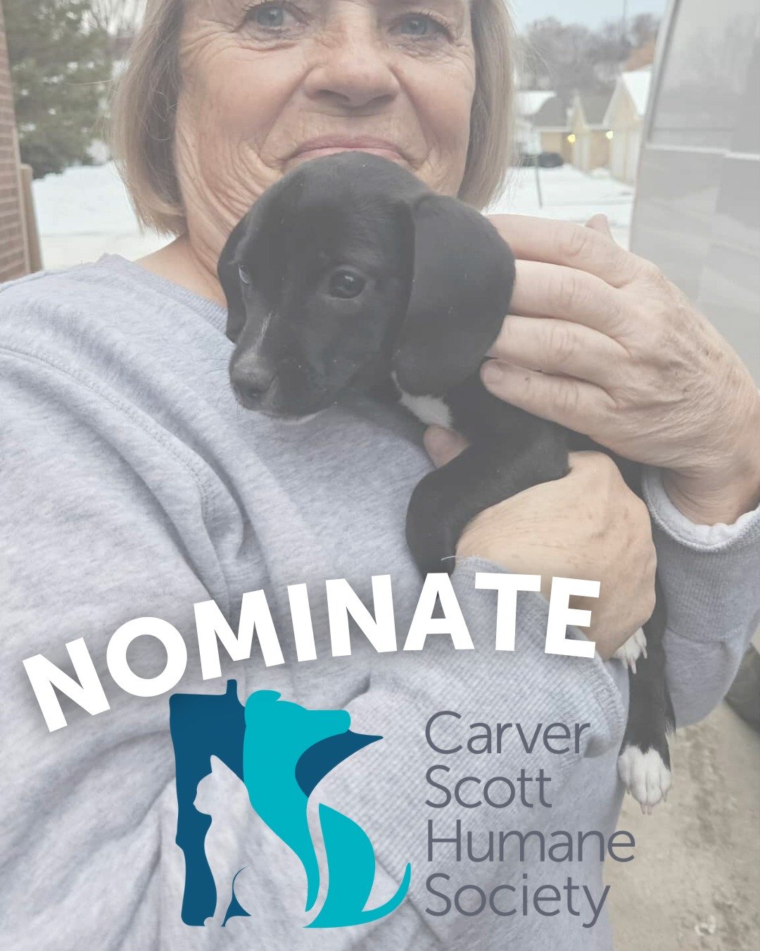 Help us win $5,000! 💙 SCHEELS Eden Prairie is hosting their Giving Campaign, and your nomination could make all the difference. Please take a moment to fill out the quick form by December 15th using our link in bio.

Thank you for supporting the ani