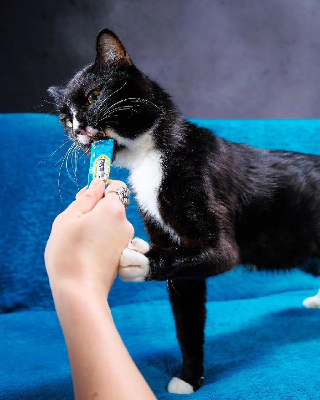 We are committed to making sure the people and animals in our community have the support they need right now.

Today, we are launching pet food and supply deliveries for surrounding community members who could use a caring hand. If you or someone you