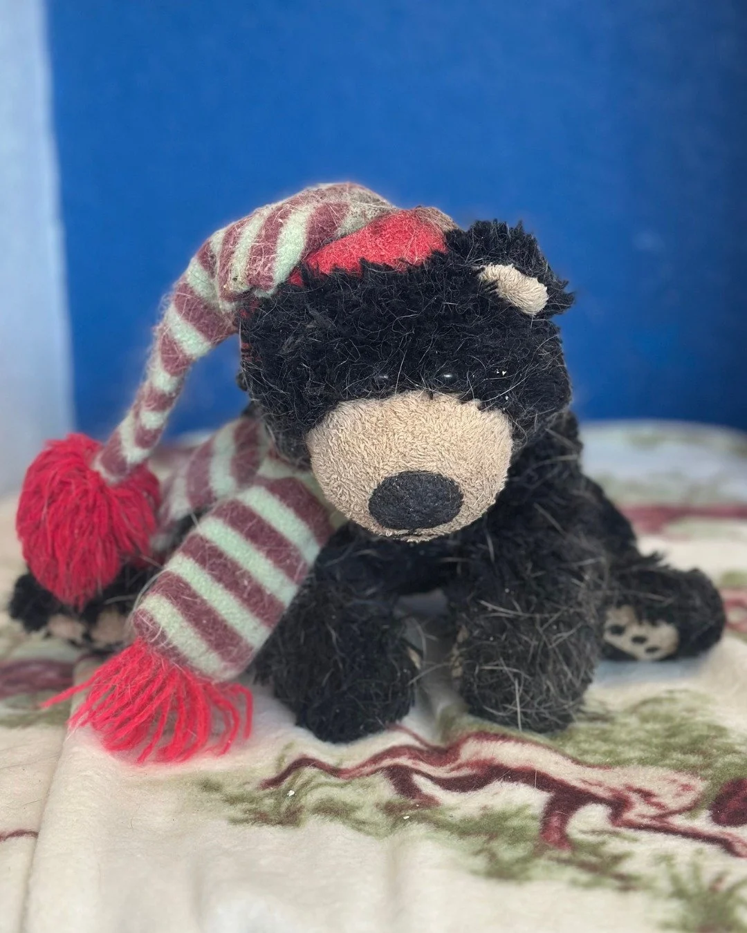 We have a winner&hellip; 🧸💙

Zoey&rsquo;s beloved bear officially has a name: Joey!

We loved seeing all of your thoughtful, creative suggestions, but &ldquo;Joey&rdquo; quickly hopped to the top. Multiple people pointed out that a joey is a baby k