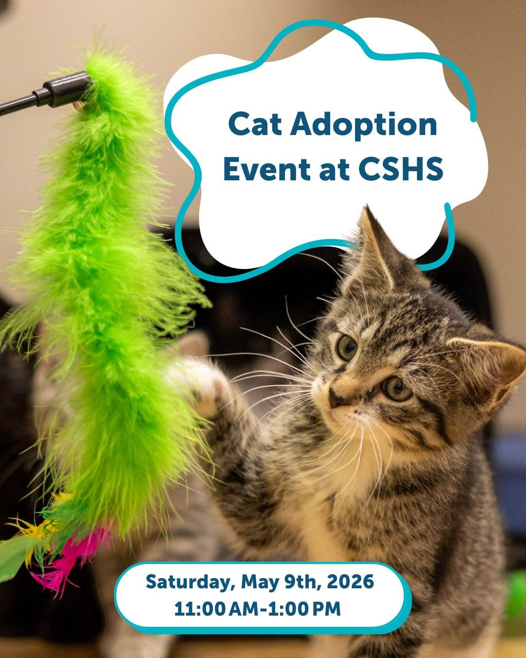 Join us tomorrow for our Cat Adoption Event!

Our foster favorites are coming out to play, and they&rsquo;re looking for their forever homes. Whether you're looking for a playful kitten or a chill lap cat, your match is waiting to meet you.

The Deta