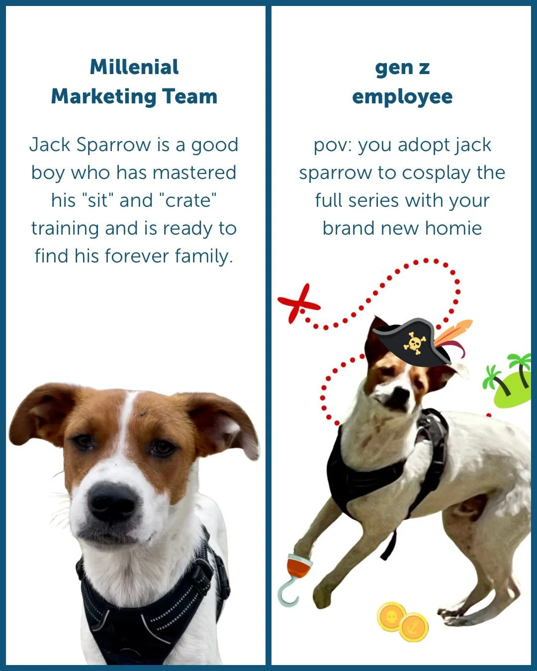 Millennial: It&rsquo;s a beautiful day to save lives! ☀️ We are so excited to introduce our residents who are looking for their furbaby era to begin. Meet the crew! 🐾

Gen Z: the roster is looking insane today. no thoughts, just vibes. these besties