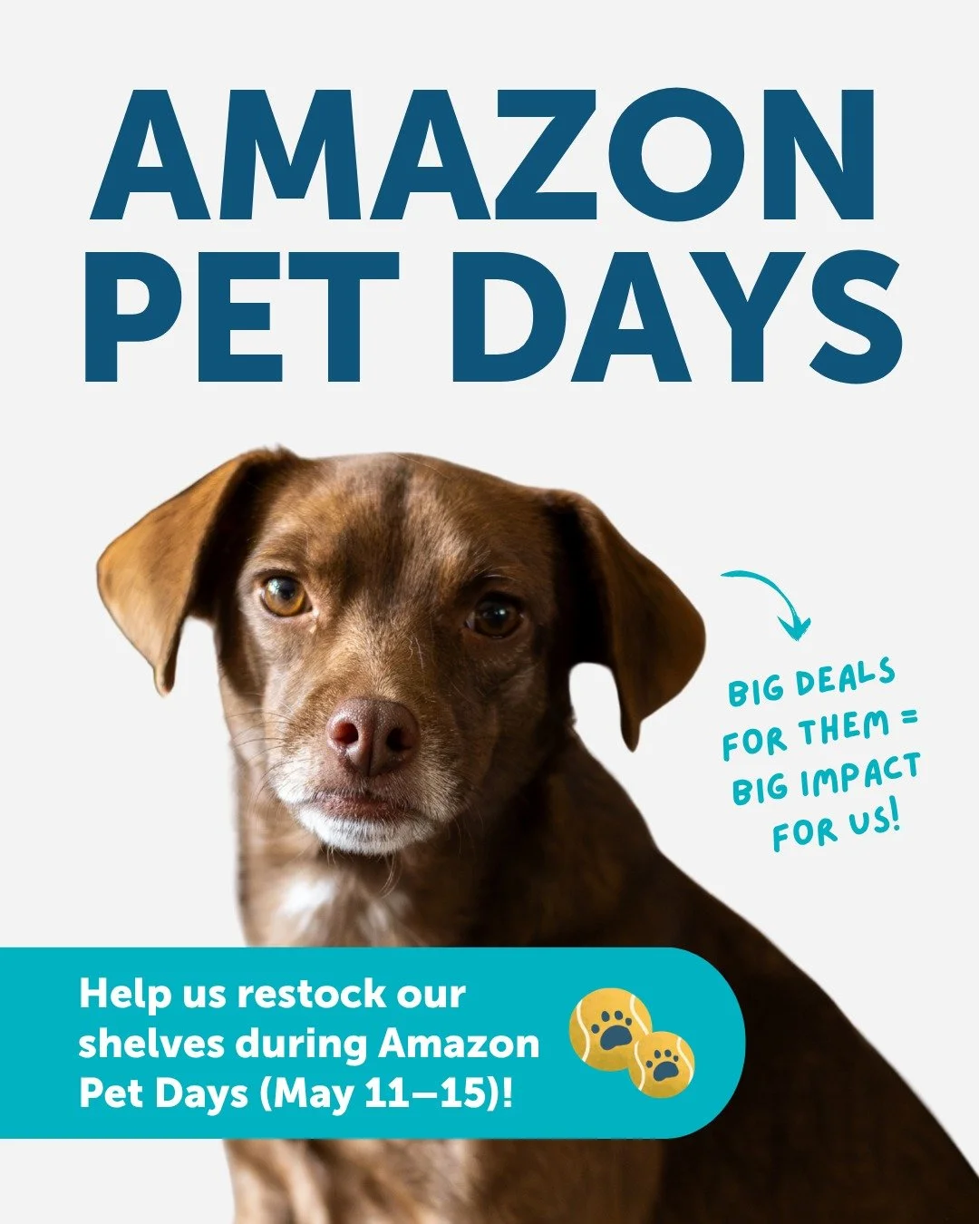 Big deals for them = Big impact for us! 🐾 

It&rsquo;s Amazon Pet Days, and many of our most-needed items are on sale. When you shop our Wish List today, your dollar goes further to help the animals in our care.

📍 Shop here: https://a.co/05G0Jlfv 